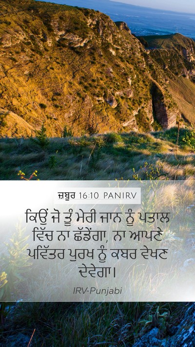 ਜ਼ਬੂਰ 16:10 PANIRV Bible Verse Image