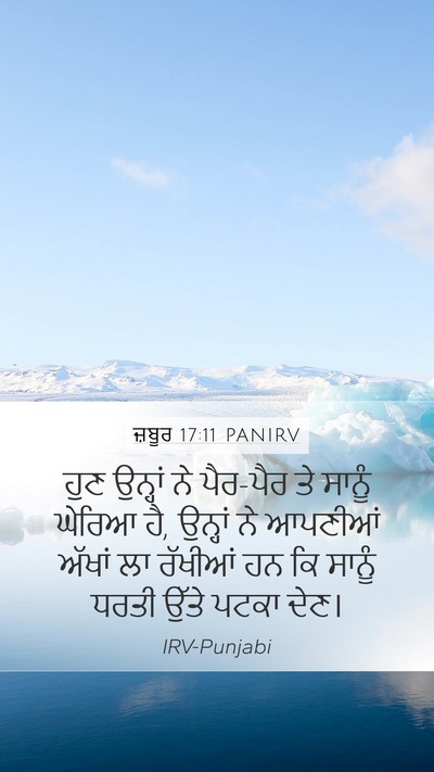 ਜ਼ਬੂਰ 17:11 PANIRV Bible Verse Image