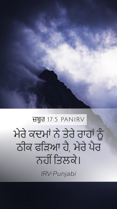 ਜ਼ਬੂਰ 17:5 PANIRV Bible Verse Image