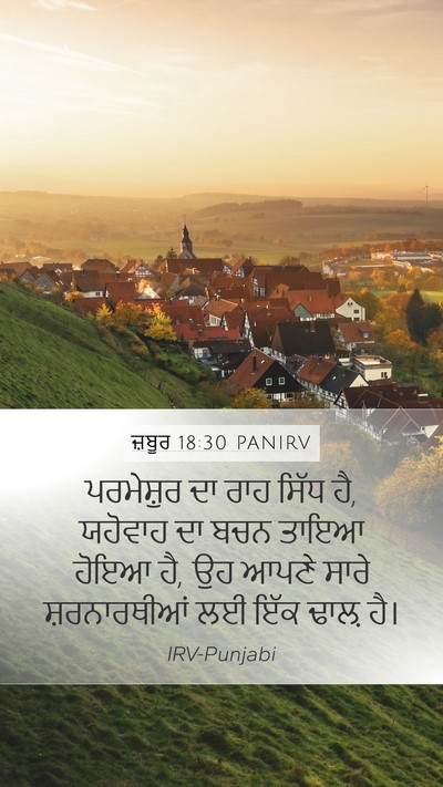 ਜ਼ਬੂਰ 18:30 PANIRV Bible Verse Image