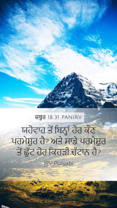 ਜ਼ਬੂਰ 18:31 PANIRV Bible Verse Image