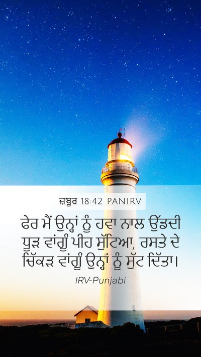 ਜ਼ਬੂਰ 18:42 PANIRV Bible Verse Image