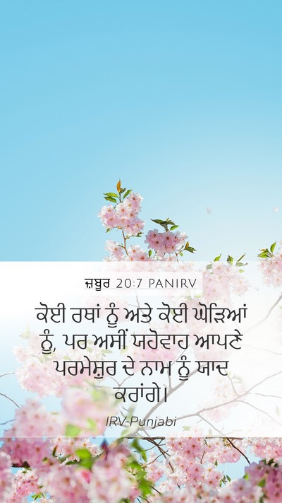 ਜ਼ਬੂਰ 20:7 PANIRV Bible Verse Image