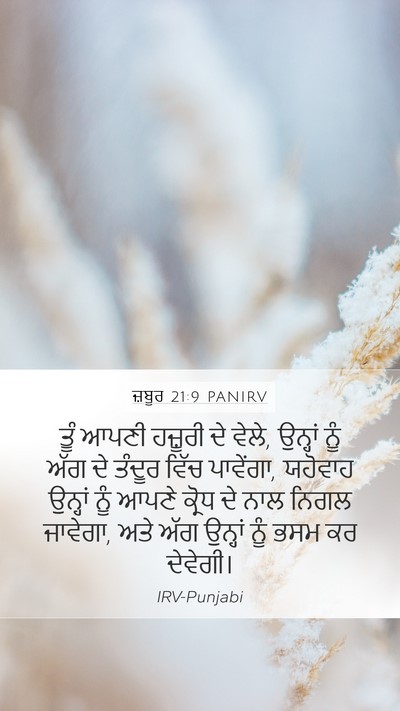 ਜ਼ਬੂਰ 21:9 PANIRV Bible Verse Image