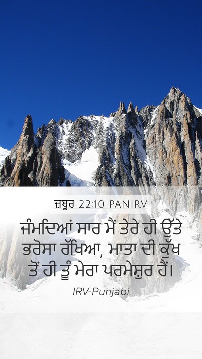 ਜ਼ਬੂਰ 22:10 PANIRV Bible Verse Image