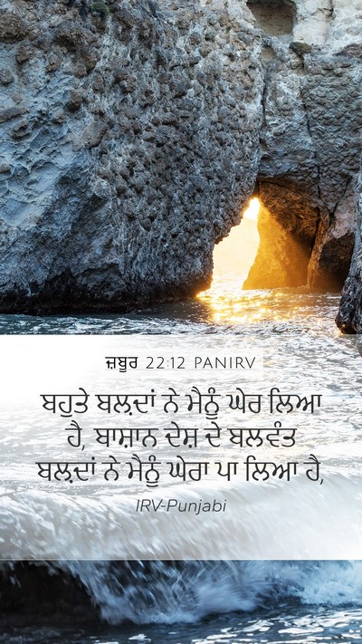 ਜ਼ਬੂਰ 22:12 PANIRV Bible Verse Image
