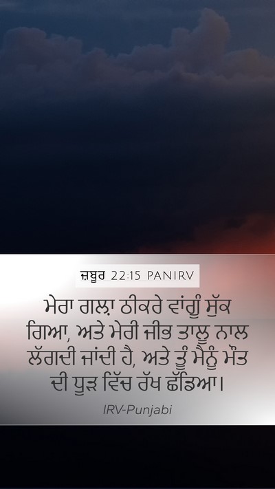 ਜ਼ਬੂਰ 22:15 PANIRV Bible Verse Image