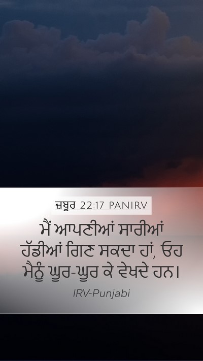 ਜ਼ਬੂਰ 22:17 PANIRV Mobile Phone Wallpaper - ਮੈਂ ਆਪਣੀਆਂ ਸਾਰੀਆਂ - Mobile Bible Verse Wallpaper