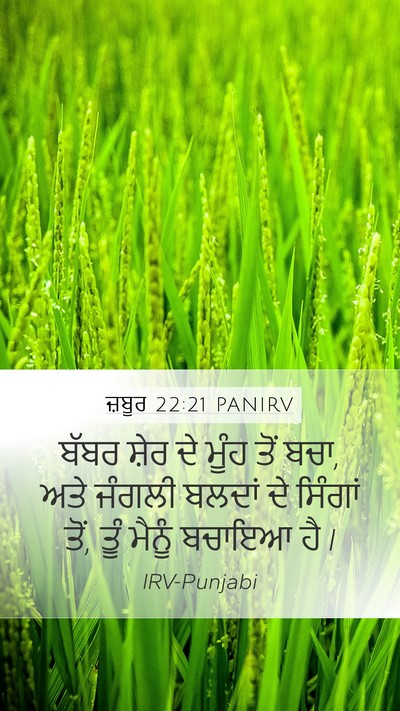 ਜ਼ਬੂਰ 22:21 PANIRV Bible Verse Image