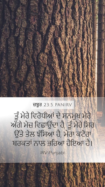 ਜ਼ਬੂਰ 23:5 PANIRV Bible Verse Image