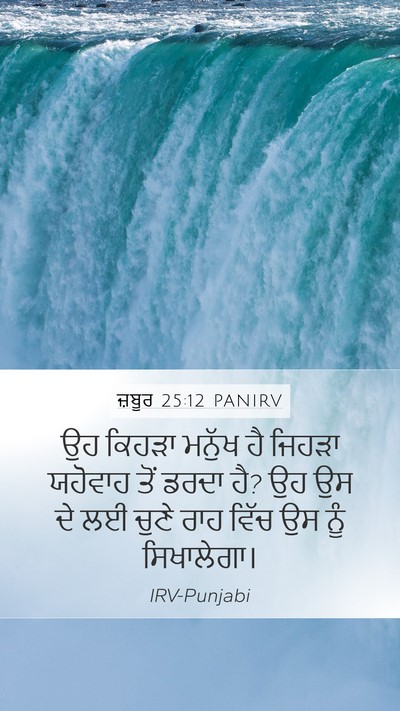 ਜ਼ਬੂਰ 25:12 PANIRV Bible Verse Image