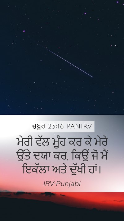 ਜ਼ਬੂਰ 25:16 PANIRV Bible Verse Image