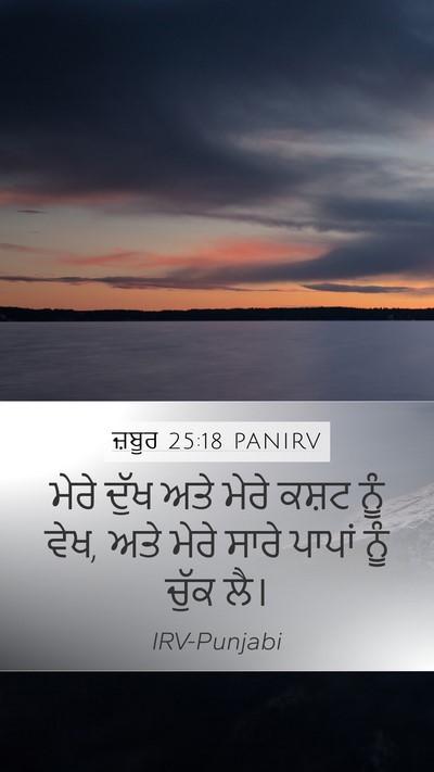 ਜ਼ਬੂਰ 25:18 PANIRV Bible Verse Image