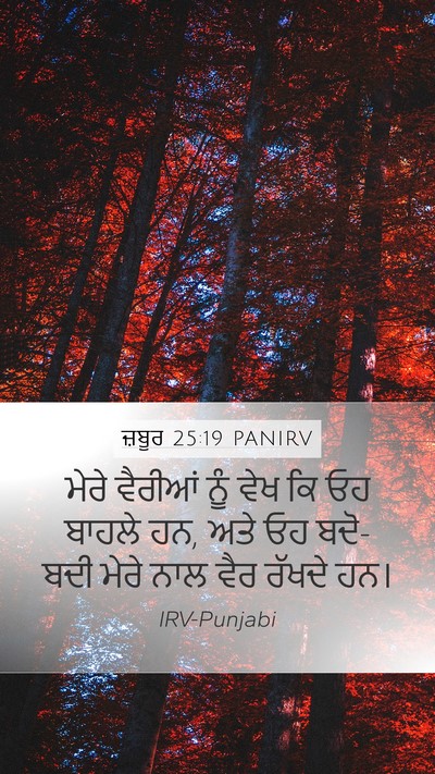 ਜ਼ਬੂਰ 25:19 PANIRV Bible Verse Image