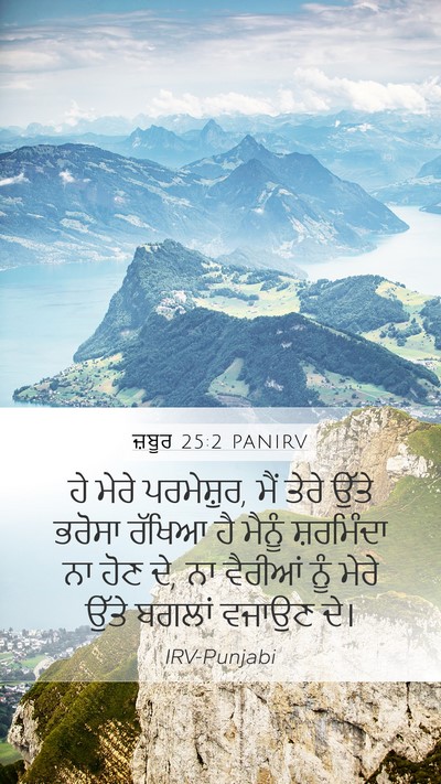 ਜ਼ਬੂਰ 25:2 PANIRV Bible Verse Image