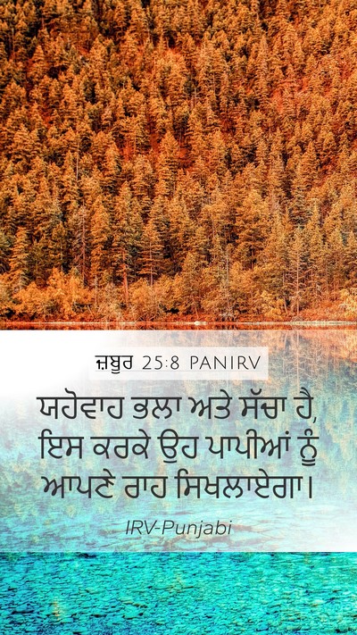 ਜ਼ਬੂਰ 25:8 PANIRV Bible Verse Image