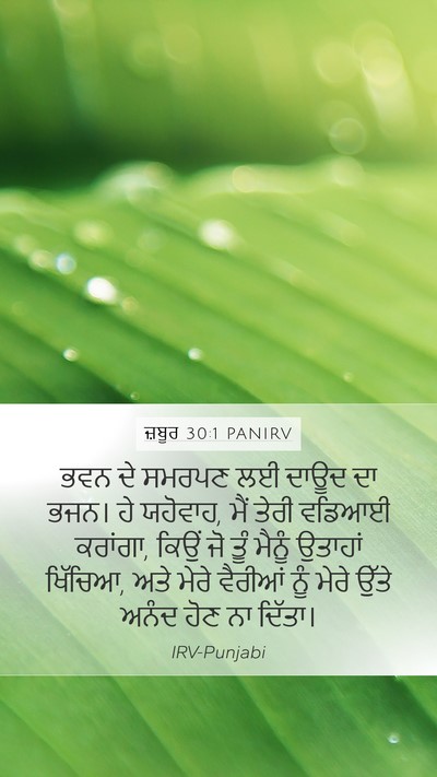 ਜ਼ਬੂਰ 30:1 PANIRV Bible Verse Image