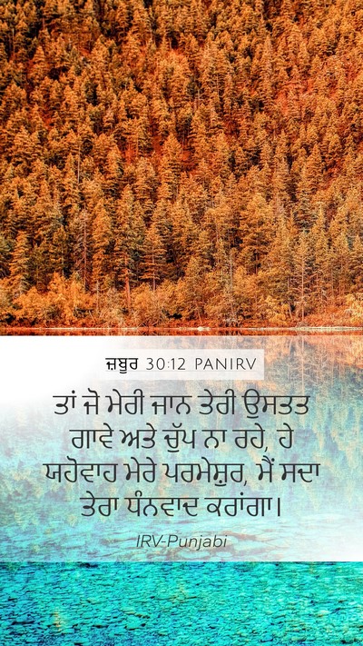 ਜ਼ਬੂਰ 30:12 PANIRV Bible Verse Image