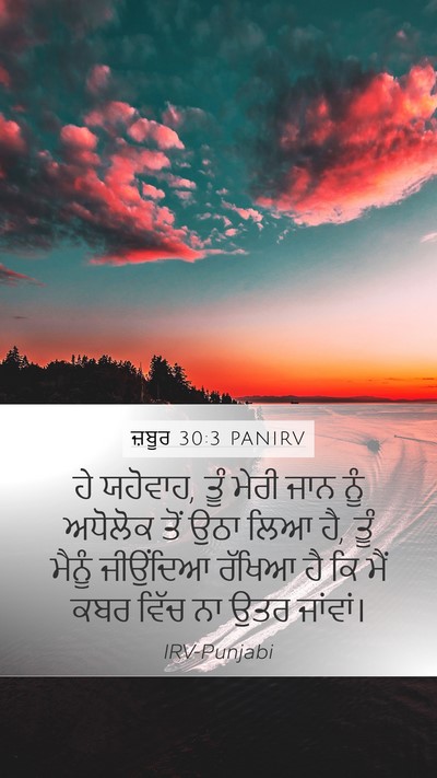 ਜ਼ਬੂਰ 30:3 PANIRV Bible Verse Image