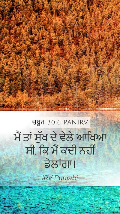 ਜ਼ਬੂਰ 30:6 PANIRV Bible Verse Image