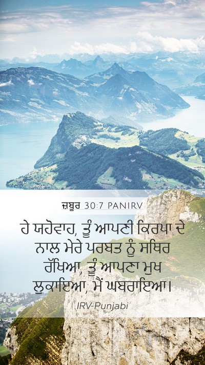 ਜ਼ਬੂਰ 30:7 PANIRV Bible Verse Image