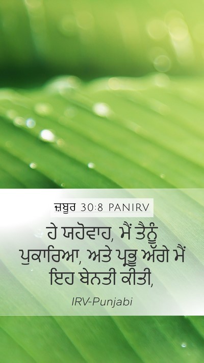ਜ਼ਬੂਰ 30:8 PANIRV Bible Verse Image