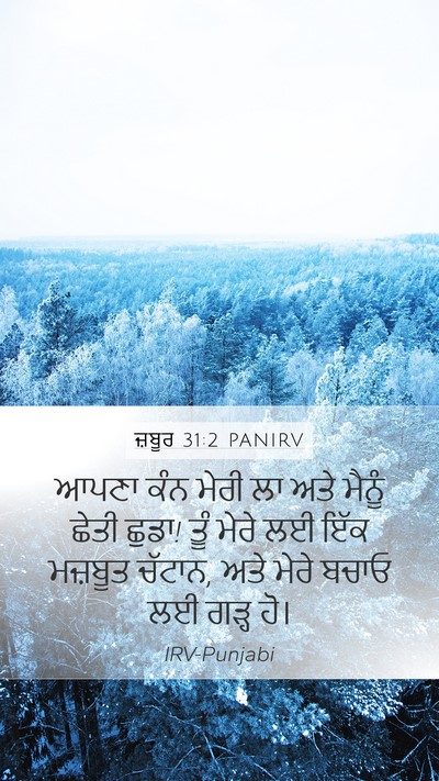 ਜ਼ਬੂਰ 31:2 PANIRV Bible Verse Image