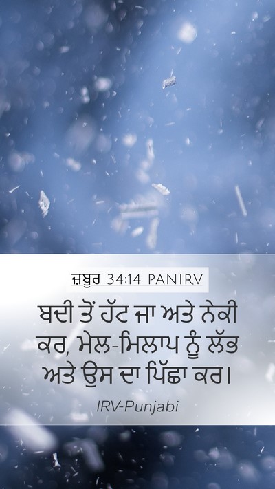 ਜ਼ਬੂਰ 34:14 PANIRV Bible Verse Image