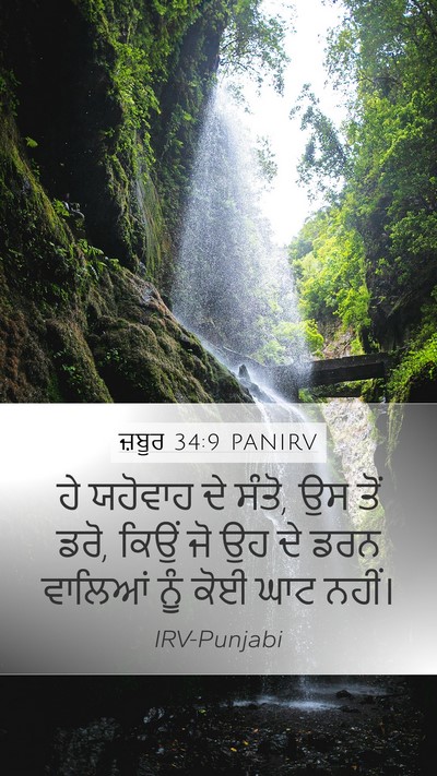 ਜ਼ਬੂਰ 34:9 PANIRV Bible Verse Image