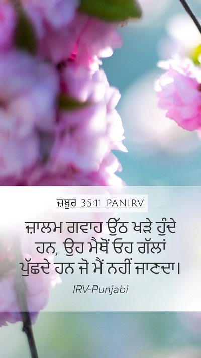 ਜ਼ਬੂਰ 35:11 PANIRV Bible Verse Image