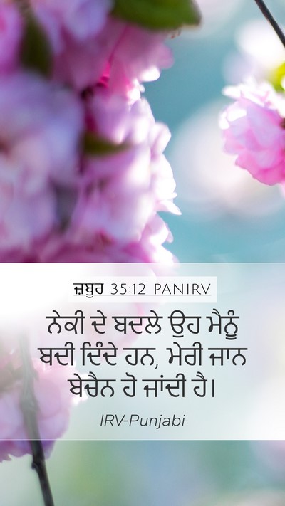 ਜ਼ਬੂਰ 35:12 PANIRV Bible Verse Image