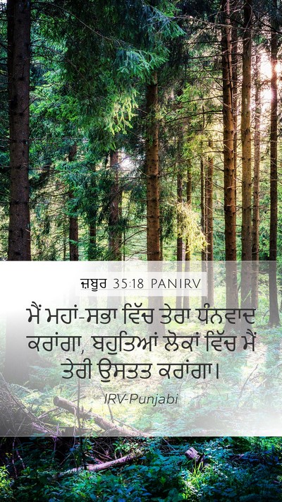ਜ਼ਬੂਰ 35:18 PANIRV Bible Verse Image