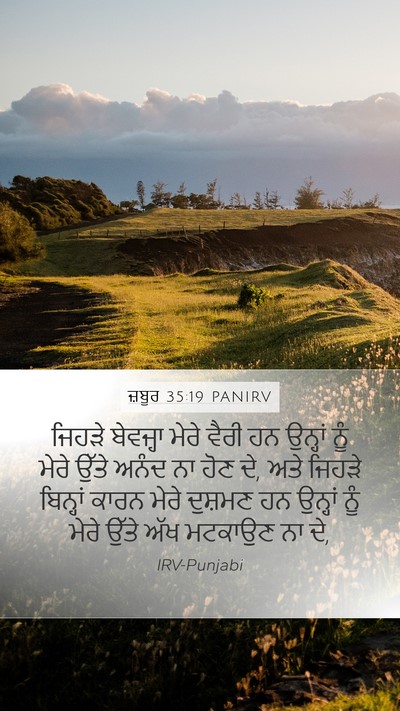 ਜ਼ਬੂਰ 35:19 PANIRV Bible Verse Image