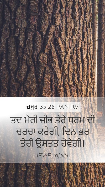 ਜ਼ਬੂਰ 35:28 PANIRV Bible Verse Image