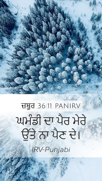 ਜ਼ਬੂਰ 36:11 PANIRV Bible Verse Image