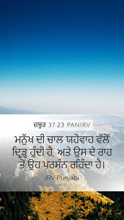 ਜ਼ਬੂਰ 37:23 PANIRV Bible Verse Image