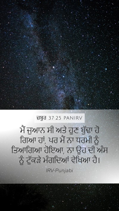 ਜ਼ਬੂਰ 37:25 PANIRV Bible Verse Image