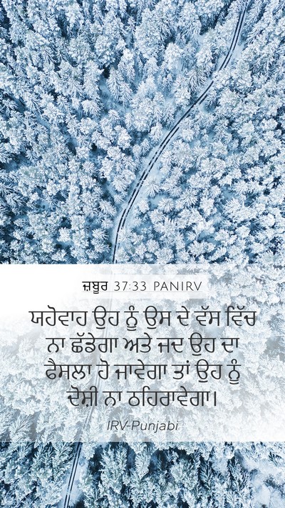 ਜ਼ਬੂਰ 37:33 PANIRV Bible Verse Image