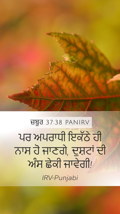 ਜ਼ਬੂਰ 37:38 PANIRV Mobile Phone Wallpaper - ਪਰ ਅਪਰਾਧੀ ਇਕੱਠੇ ਹੀ - Mobile Bible Verse Wallpaper