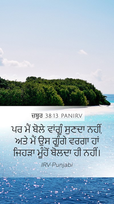 ਜ਼ਬੂਰ 38:13 PANIRV Bible Verse Image