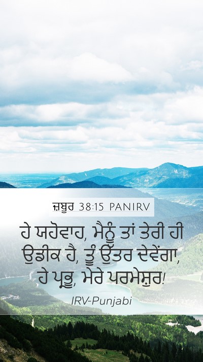 ਜ਼ਬੂਰ 38:15 PANIRV Bible Verse Image