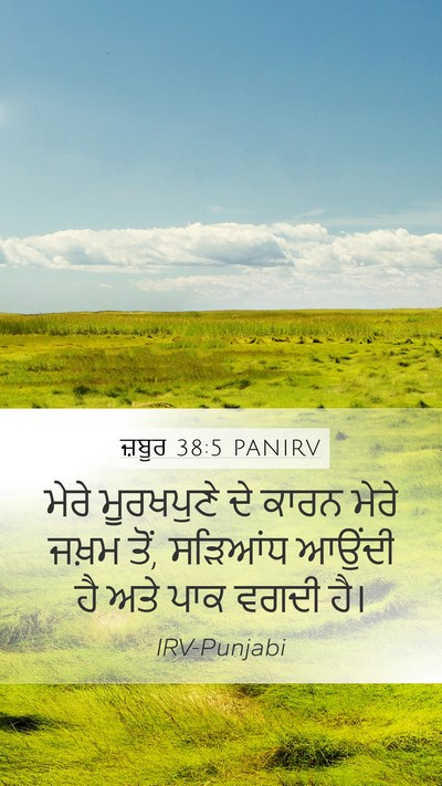 ਜ਼ਬੂਰ 38:5 PANIRV Bible Verse Image