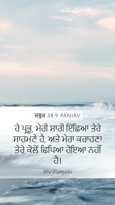 ਜ਼ਬੂਰ 38:9 PANIRV Bible Verse Image