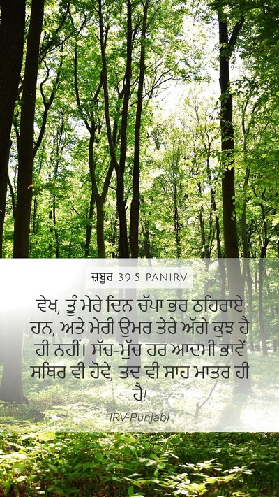 ਜ਼ਬੂਰ 39:5 PANIRV Bible Verse Image