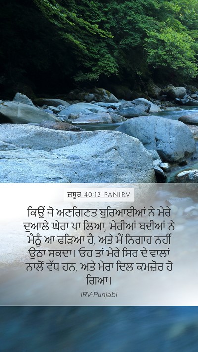 ਜ਼ਬੂਰ 40:12 PANIRV Bible Verse Image