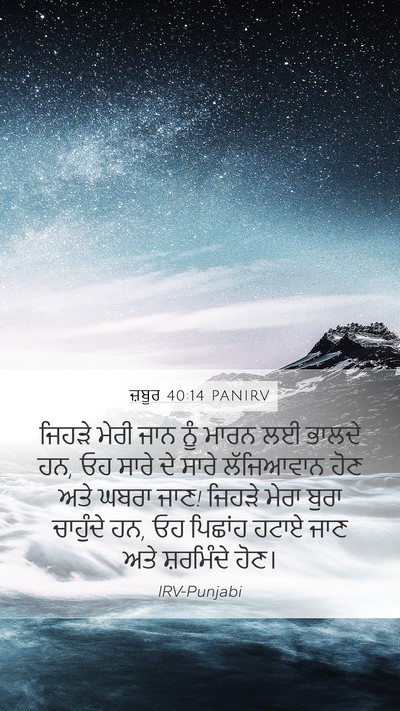 ਜ਼ਬੂਰ 40:14 PANIRV Bible Verse Image