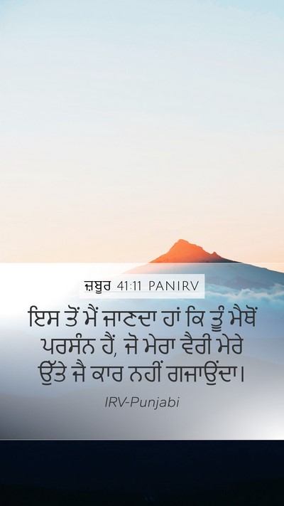 ਜ਼ਬੂਰ 41:11 PANIRV Mobile Phone Wallpaper - ਇਸ ਤੋਂ ਮੈਂ ਜਾਣਦਾ - Mobile Bible Verse Wallpaper