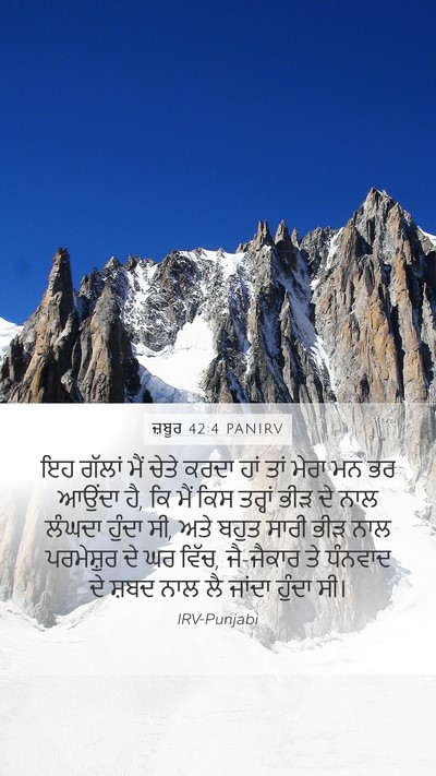 ਜ਼ਬੂਰ 42:4 PANIRV Bible Verse Image