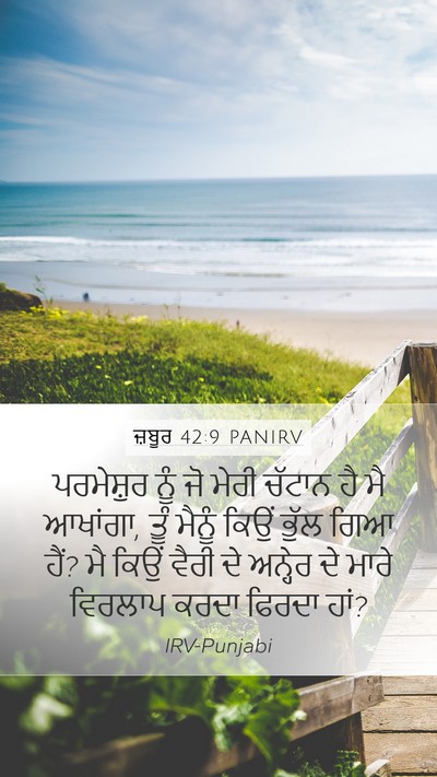 ਜ਼ਬੂਰ 42:9 PANIRV Bible Verse Image