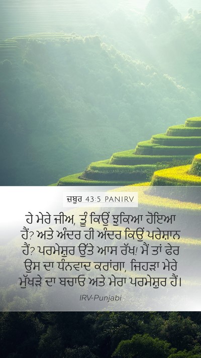 ਜ਼ਬੂਰ 43:5 PANIRV Bible Verse Image